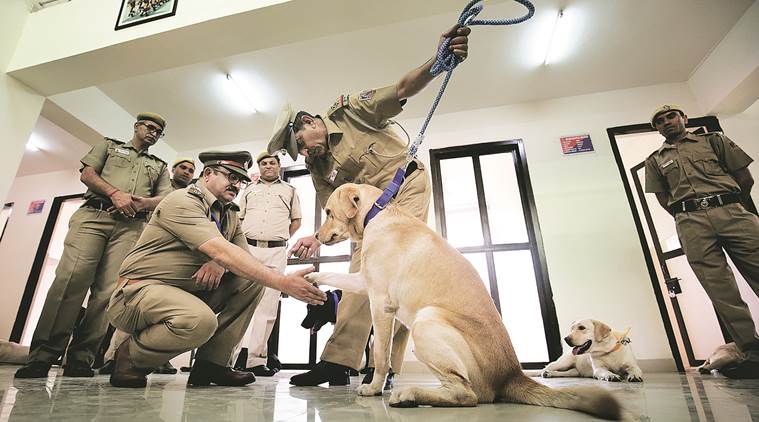 35 of Delhi Police’s best friends get their very own kennels | Delhi ...