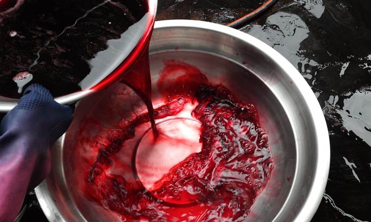 textile dye industry, chemicals, water-bodies, dye industry, shivaji university, harmful effluents, indian express, india news