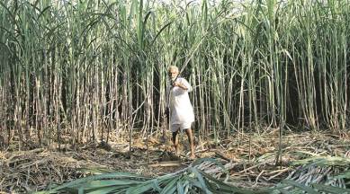 During the last one year, Rs 22 lakh crore have been released for crop loan waiver, benefiting 51 lakh farmers.