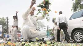 maharashtra farmers' strike, farmer strike, Maharashtra farmers, Congress, Maharashtra legislature