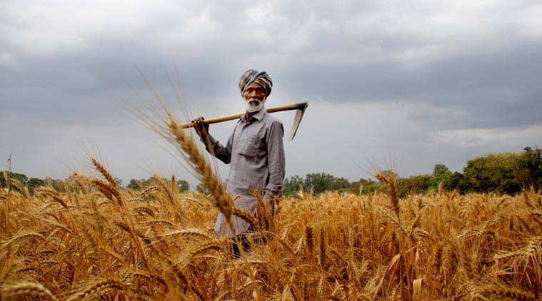agriculture, agri products, e-NAM, what is e-NAM, agricultural selling, farmer market, agri-futures market, farmer producer organisations, indian express news, india news, indian express opinion