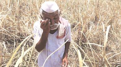 Odisha farmers, crops minimum support price, Odisha BJP, BJD on farmers issue, Odisha Governor S C Jamir, indian express news