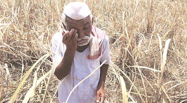 Odisha farmers, crops minimum support price, Odisha BJP, BJD on farmers issue, Odisha Governor S C Jamir, indian express news