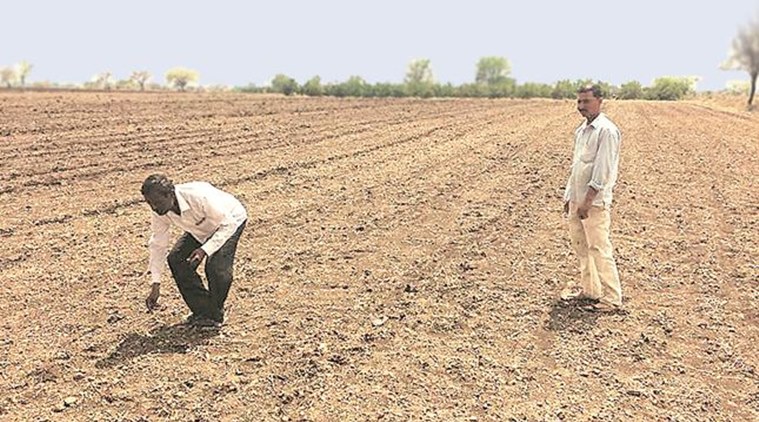 Farmer, Farmer crisis, Cotton, Minimum Support Price, Kharif crops, BT Cotton, Pulses, Agricultural ministry, Indian Express