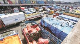 maharashtra farmers strike, maharashtra milk supply, maharashtra government, farmers strike, sharad pawar