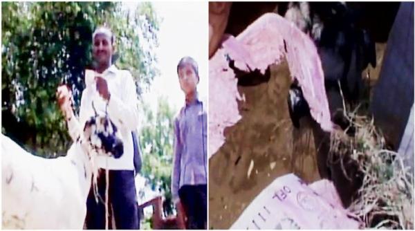 goat chewed notes, goat ate Rs 66000 notes, goat ate all money, uttar pradesh goat chewed 66000 rupees, indian express, indian express news