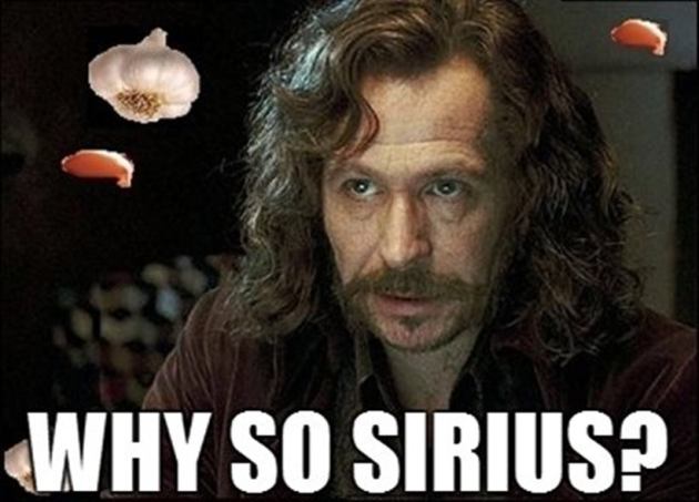 harry potter, 20 years of harry potter, jk rowling, harry potter memes, indian express, indian express news