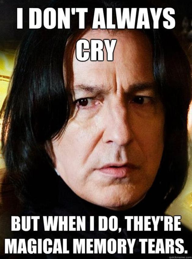 harry potter, 20 years of harry potter, jk rowling, harry potter memes, indian express, indian express news