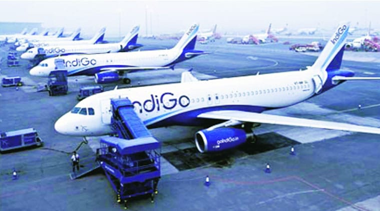 Image result for indigo airlines