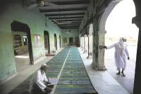 mewat, madrasa, indian express