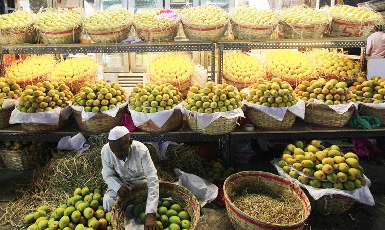Mango