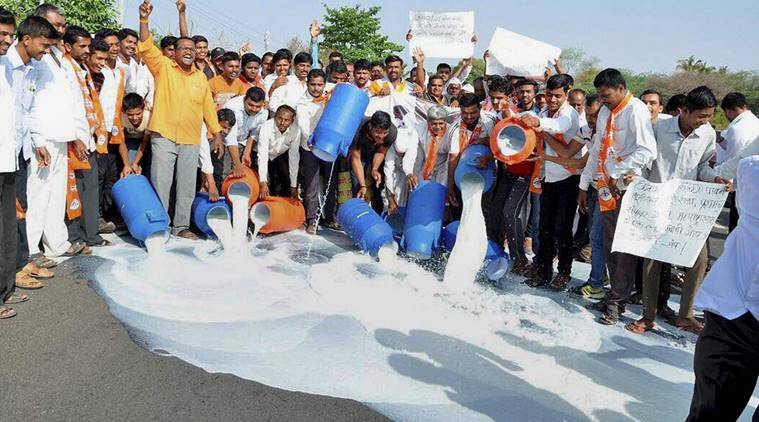 milk spilled, maharashtra farmers protest, milk spill protest, maharashtra farmers spill milk, vegetables dumped on road, india news