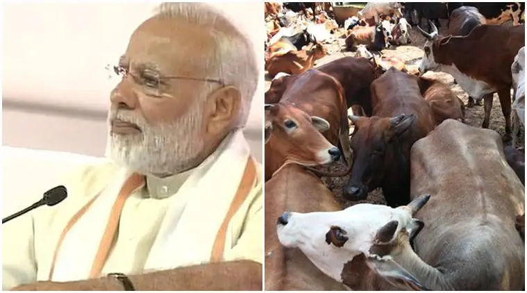 Narendra Modi, Modi on cow vigilante groups. Modi on lynchings, Modi on gau rakhshaks, lynchings in India, Junaid Khan, Junaid Khan lynching, India news, Indian Express