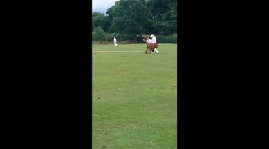 Cow corner goes literal! Mad cow invades cricket field, watch video |  Sports News,The Indian Express