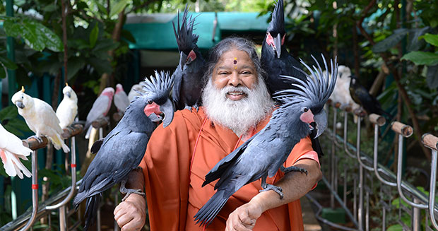 This Mysore aviary just set the Guinness world record for ‘most bird ...