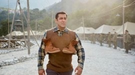 salman khan, tubelight,salman khan tubelight losses, tubelight box-office