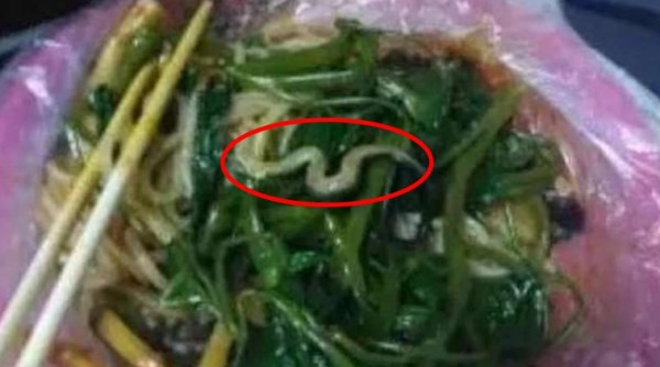 snake in noodles, china snake in noodles, snake in noodles china viral, snake in noodles chinese student post viral, Guangxi University in China snake in noodles, indian express, indian express news, trending, bizarre