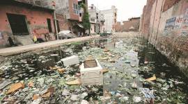 Dengue, Dengue watch, East Delhi, Sonia Vihar, delhi Sonia Vihar, mosquito, mosquitoes breeding ground, zika, chikungunya, latest news, latest news, indian express