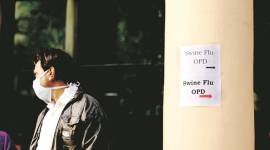 H1N1, Swine Flu, H1N1 tests, Health ministry, H1N1 testing, Chandigarh news, Indian Express