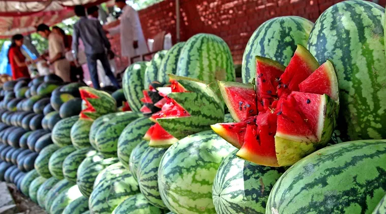Image result for watermelon in india