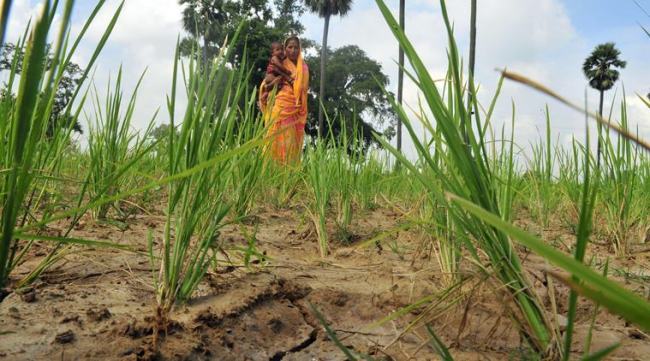 Monsoon, drought hit areas, drought-affected areas, Central team report, Indian Express