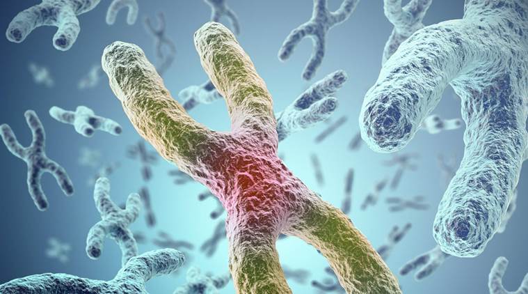 Why doctors recommend chromosome testing to identify rare chromosomal