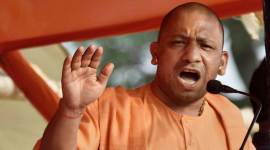 Gorakhpur, Gorakhpur hospital deaths, Gorkhapur hospital tragedy, Yogi adityanath, Gorakhpur hospital deaths, Gorakhpur infant deaths, Japanese encephalitis, vector-borne disease, Uttar Pradesh, indian express