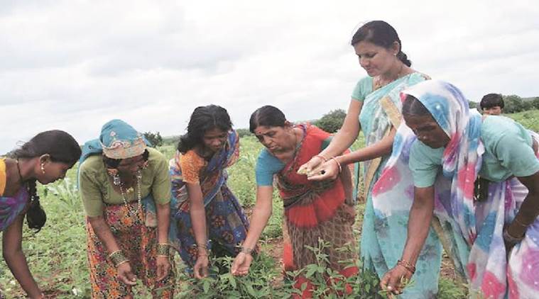 Can Senior Citizens Wear Leggings Women's  International Society of  Precision Agriculture