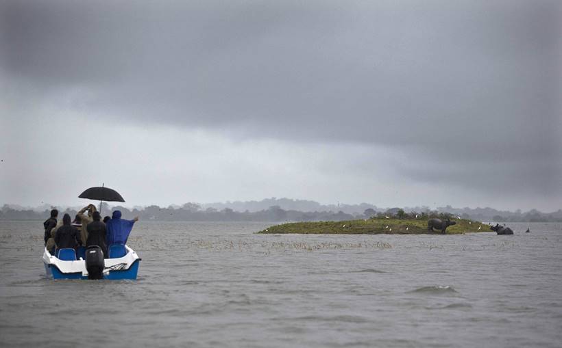 Assam floods, assam monsoon, assam flood deaths, guwahati floods, assam news