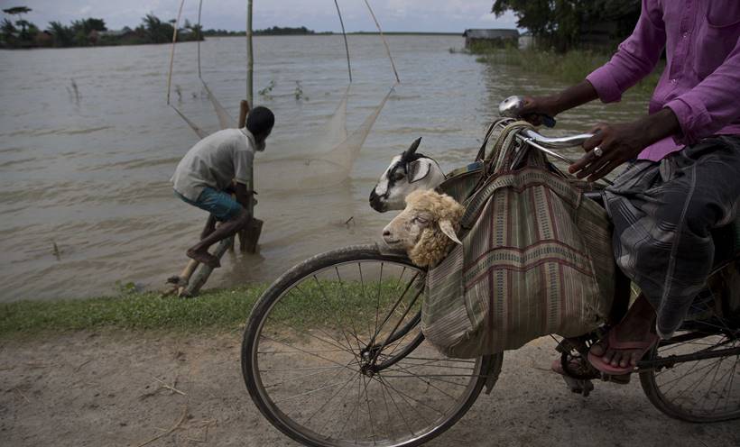 Assam floods, assam monsoon, assam flood deaths, guwahati floods, assam news