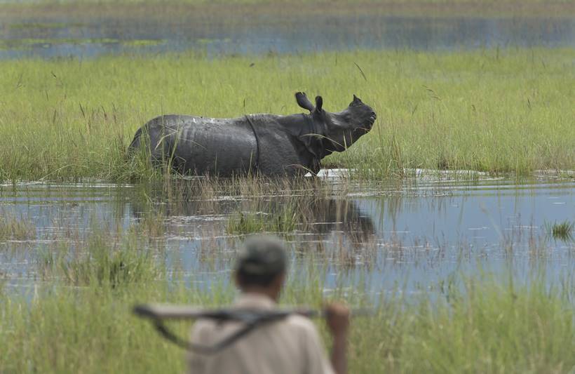 Assam floods, assam monsoon, assam flood deaths, guwahati floods, assam news
