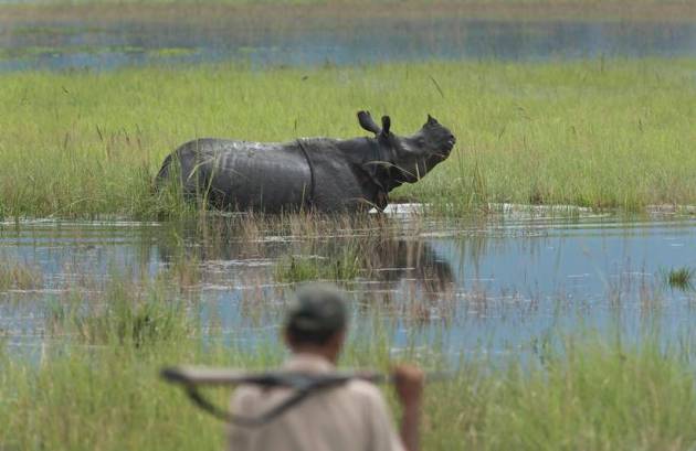 Assam floods, assam monsoon, assam flood deaths, guwahati floods, assam news