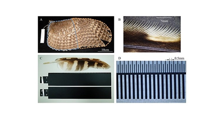 quieter aircraft, Owls' wings, aerodynamics, developed aerodynamics of a plane, new research, new research of aerodynamics, science, Science News, Indian Express