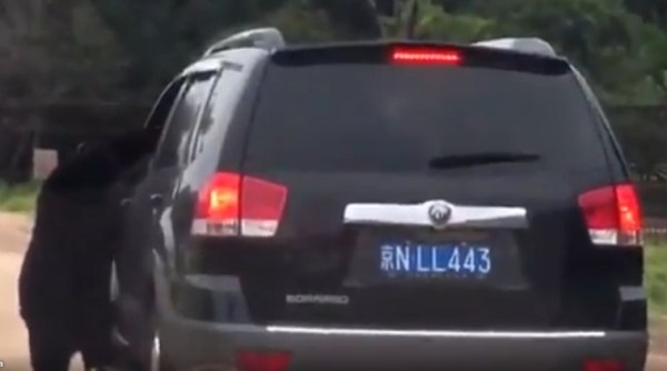 funny videos, funny bear videos, shocking videos, shocking animal videos, shocking zoo videos, Indian Express, Indian Express News