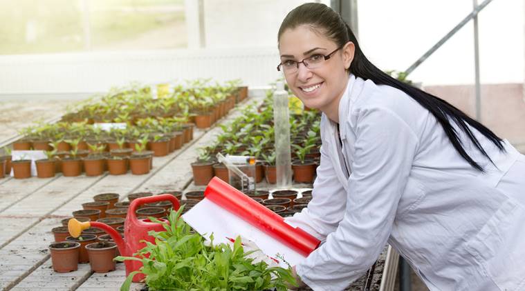 Perks of studying BSc in Agriculture | Education News, The ...