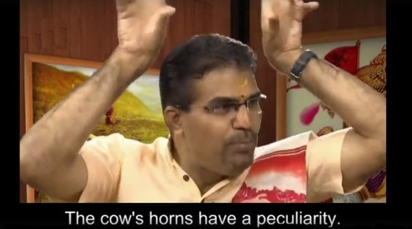 cows, debates about cows, discussions about cows, holy cows in india, holy cows of india, india cows, viral videos on cows in india, indian express, indian express news, viral videos