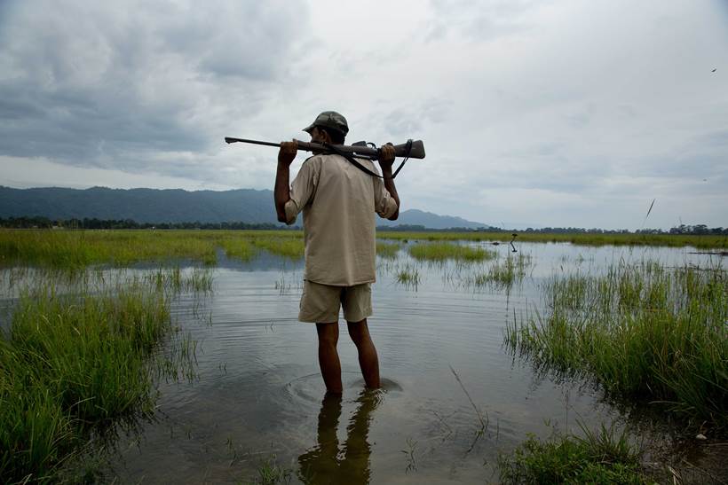 Assam flood, assam kaziranga national park, kaziranga floods, assam floods death toll, assam floods submerged, assam heavy rain, Sarbananda Sonowal, latest news, india news, indian express news