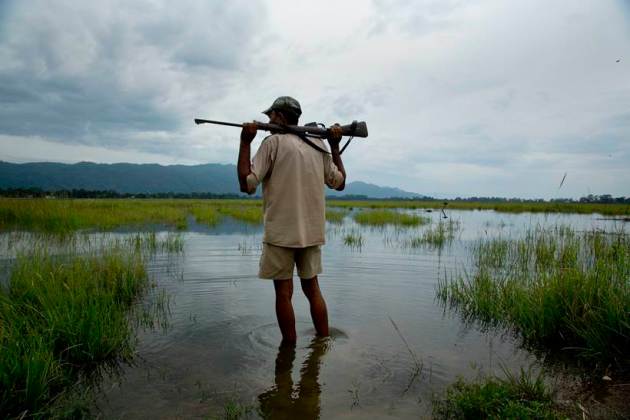 Assam flood, assam kaziranga national park, kaziranga floods, assam floods death toll, assam floods submerged, assam heavy rain, Sarbananda Sonowal, latest news, india news, indian express news
