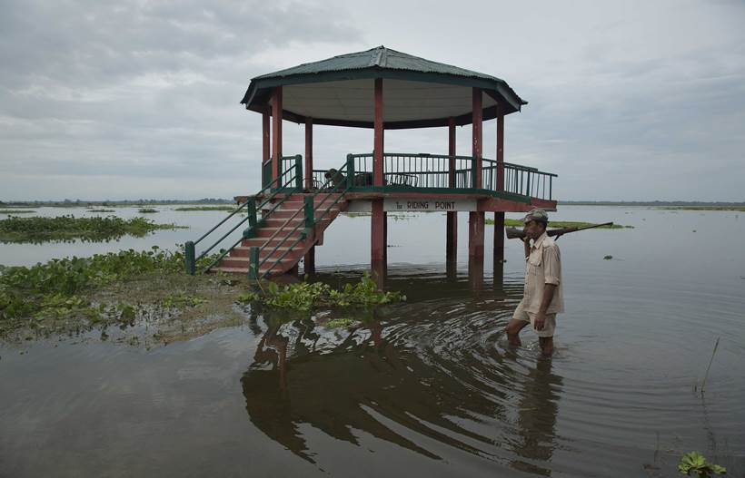 Assam flood, assam kaziranga national park, kaziranga floods, assam floods death toll, assam floods submerged, assam heavy rain, Sarbananda Sonowal, latest news, india news, indian express news