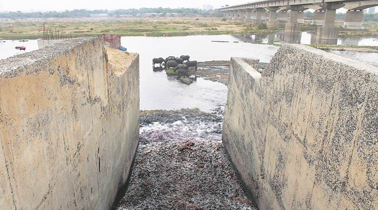 ahmedabad, ahmedabad news, sabarmati pollution, sabarmati river, Paryavaran Suraksha Samiti, Ahmedabad Municipal Commission, river pollution, gujarat pollution