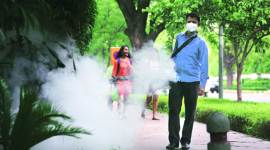 dengue cases, dengue delhi, dengue fresh cases, dengue season, dengue mosquito, dengue patients, indian express news