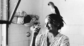 Eunice De Souza passed away, poet Eunice De Souza passed away, One Man’s Poetry and Forgive Me, Mother, A Necklace of Skulls, Nine Indian Women Poets: An Anthology, These My Words: The Penguin Book of Indian Poetry, India news, National news, latest news