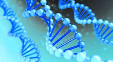 DNA, DNA tech Bill, DNA testing, DNA testing technology, DNA profiles, DNA samples, Law Commission, Supreme court