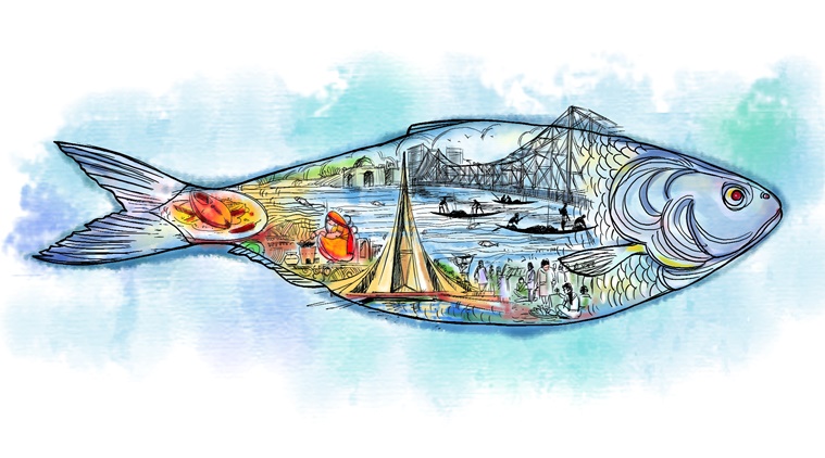 Drawing Tutorial: Draw a beautiful hilsa fish using pencil. — Steemit, fish  drawing