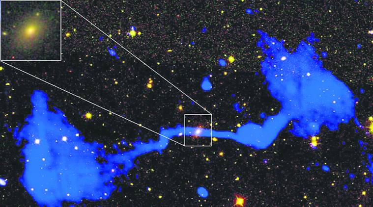 Geneticist, Astronomer, Great Red Spot, rhesus macaques, Study on rhesus macaques, Hubble Space Telescope