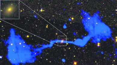 Geneticist, Astronomer, Great Red Spot, rhesus macaques, Study on rhesus macaques, Hubble Space Telescope