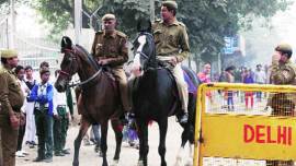 horses banned in west delhi