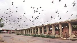 GST rollout, gst launch, gst prices, gst rates, business news