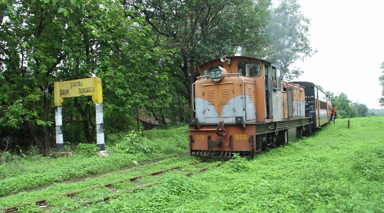 narrow gauge india, bilimoria waghmai train, toy train