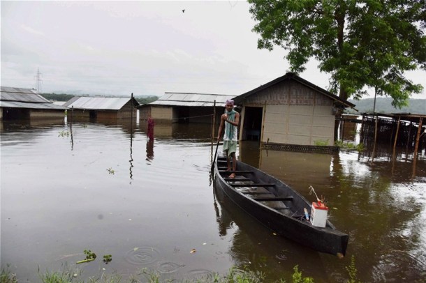 PHOTOS: Here is Kaziranga Rhinos are escaping the Assam floods | The ...